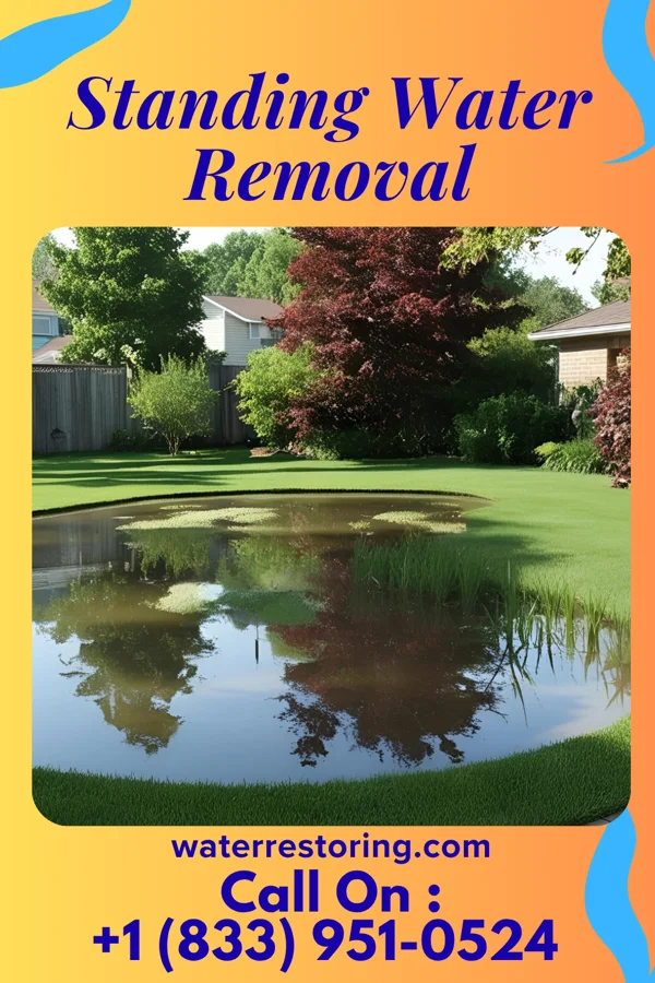 Standing Water Removal in Central Falls, RI
